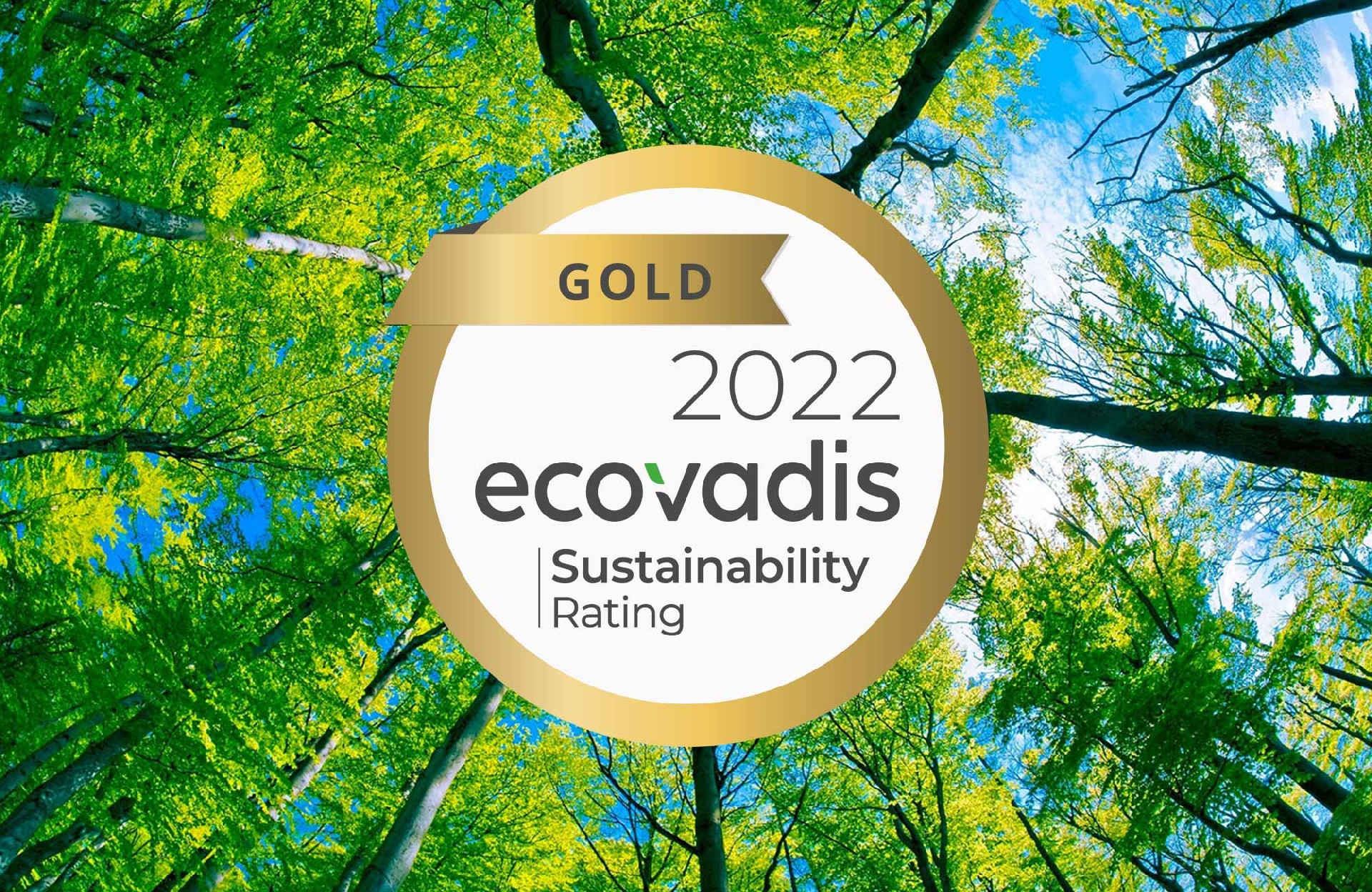 Ecovadis gold label inserted in forest background